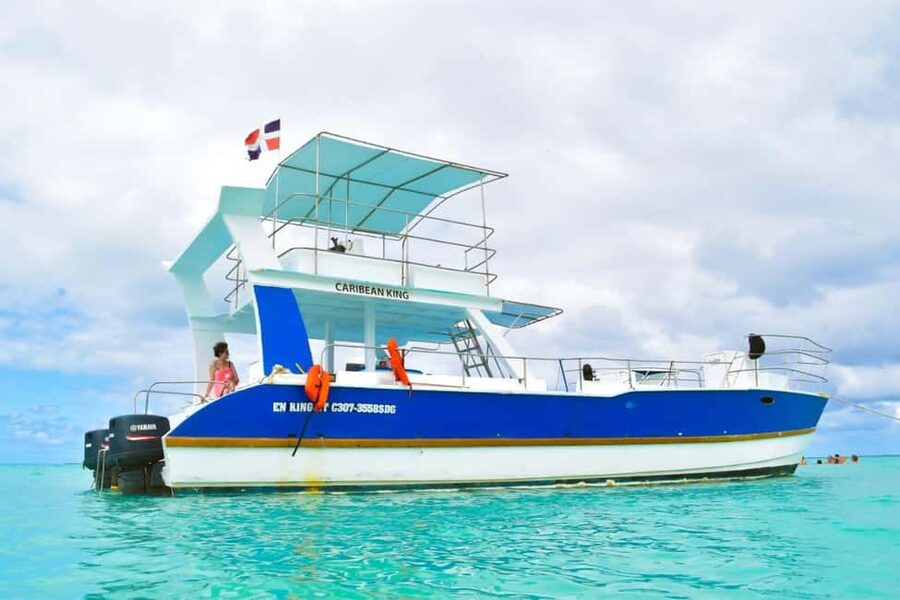 Saona Island Tour From Santo Domingo with Lunch and Pickup - Who this tour suits best (and who should rethink it)