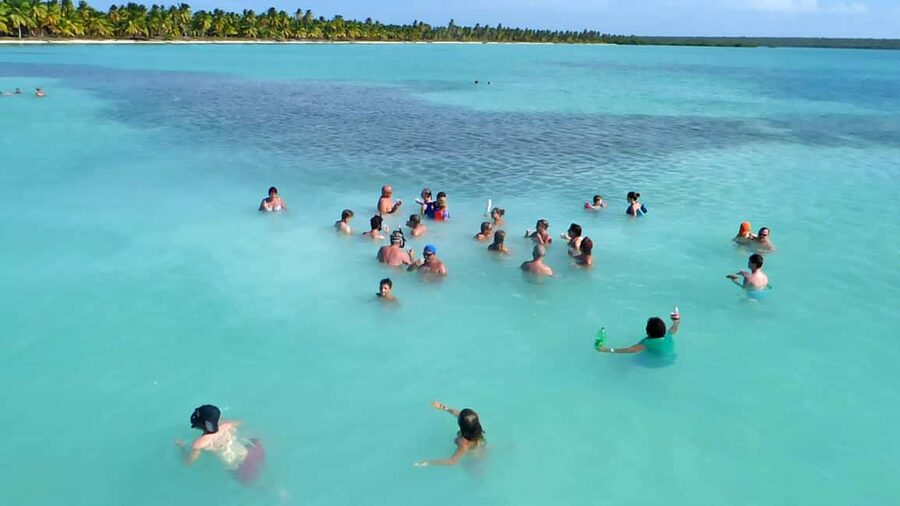 Saona Island Tour From Santo Domingo with Lunch and Pickup - Why Saona from Santo Domingo feels worth your time