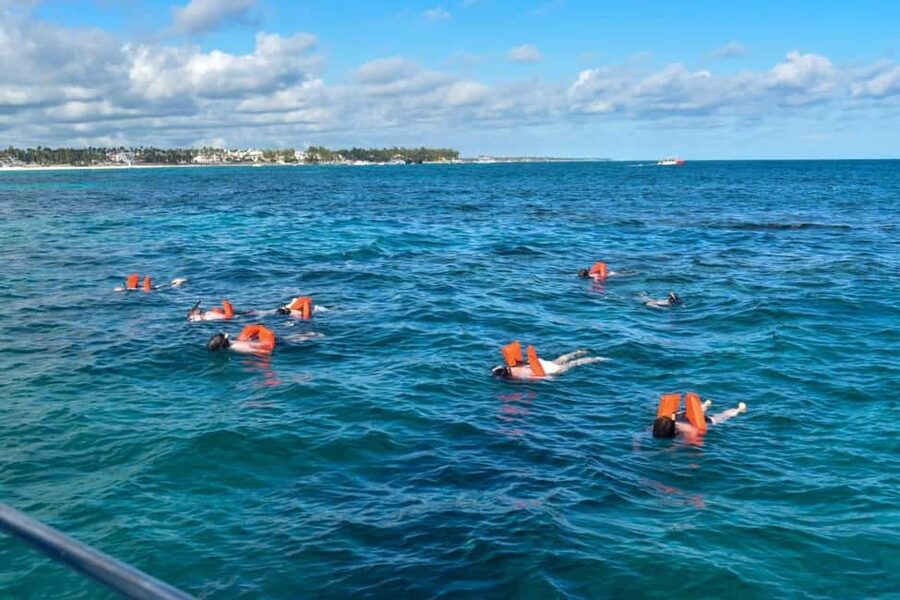Saona Island Tour From Santo Domingo with Lunch and Pickup - What’s included (and the stuff you’ll want to bring anyway)