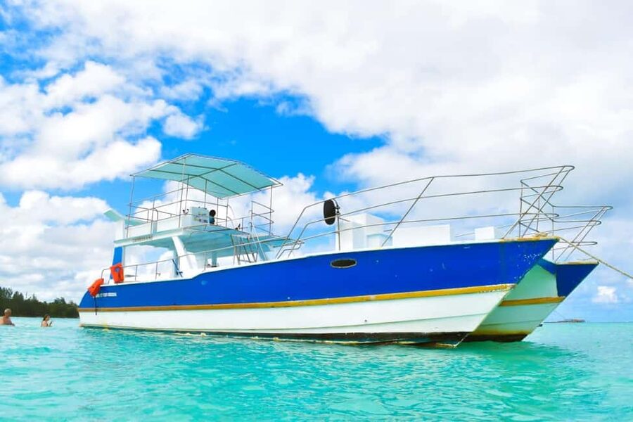 Saona Island Tour From Santo Domingo with Lunch and Pickup - Safety and service: what the guide quality means for you