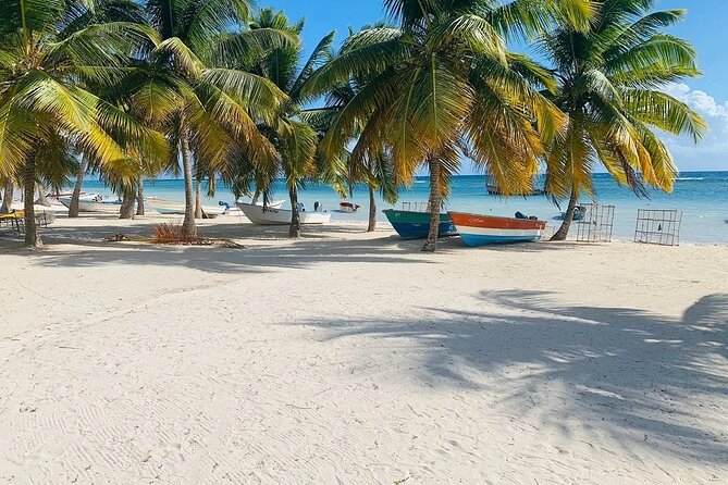 Saona Island Tour From Santo Domingo with Lunch, Open Bar, Pickup - Catamaran return: open bar energy and party-style animators