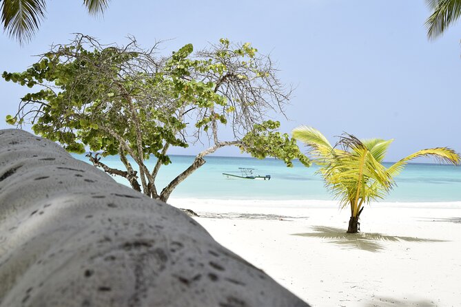 Saona Island Tour - Full Day from Punta Cana Buffet and drinks - Price Check: Is $75 Worth It for Buffet, Drinks, and the Round Trip?