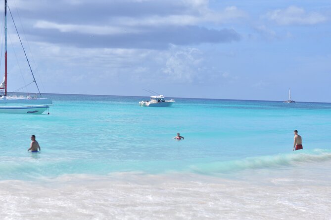 Saona Island Tour in Punta Cana - What the $95 Price Covers (and Why It Might Be Worth It)