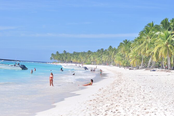 Saona Island Tour in Punta Cana - The People Running the Day: Guidance and Multilingual Support