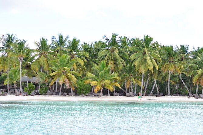 Saona Island Tour in Punta Cana - Natural Pool Starfish: How to Enjoy It Without Stress