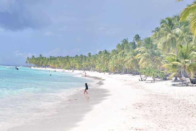 Saona Island Tour in Punta Cana - Saona Island Beach Time and the Dominican Buffet Setup