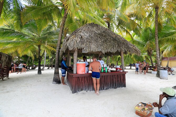Saona Island Tour with Altos de Chavón from Punta Cana - Catamaran Party on the Caribbean Sea: Music, Dancing, and Space
