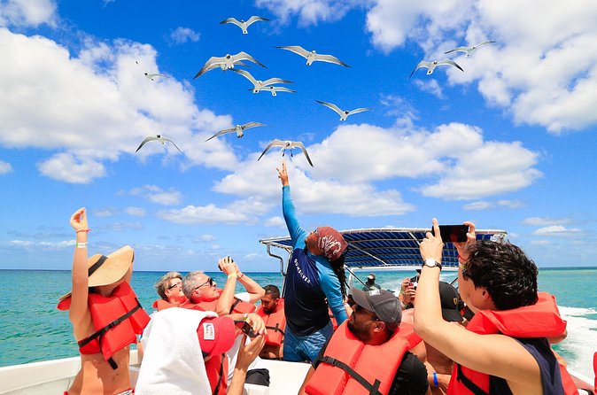 Saona Island Tour with Altos de Chavón from Punta Cana - Who Should Book This Tour (and Who Should Skip)