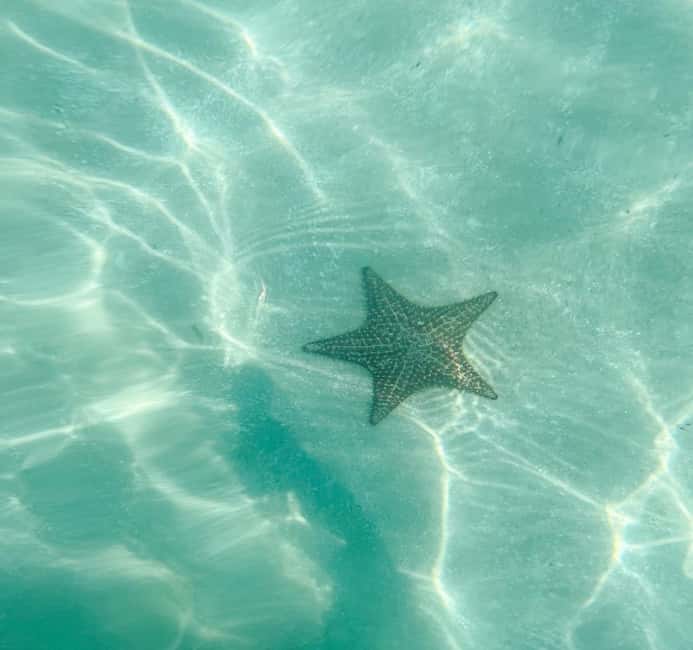 Saona Island VIP: 4 Beaches , Mano Juan & Canto de la Playa - Key highlights worth your attention