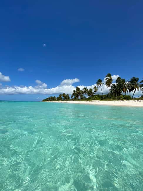 Saona Island VIP: 4 Beaches , Mano Juan & Canto de la Playa - Saona Island VIP: what the day really feels like