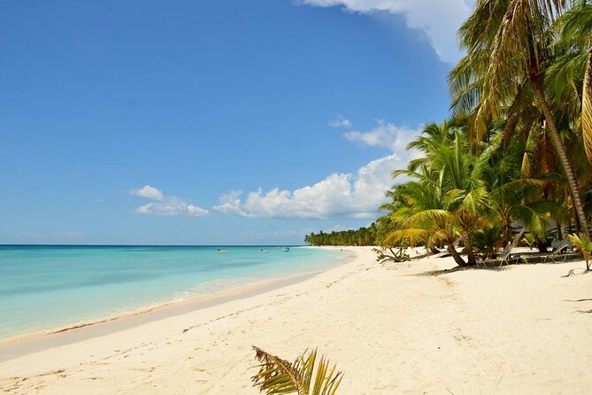 Saona Island VIP Experience – Private Boat for Up to 20 People - Communication and Language Expectations