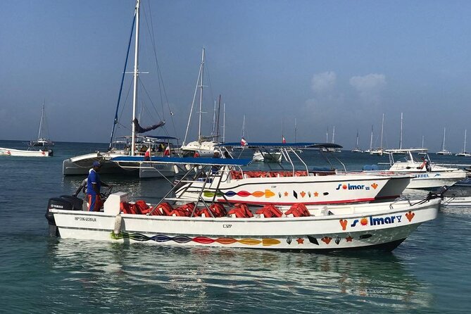 Saona Island VIP Experience – Private Boat for Up to 20 People - Who This Suits Best in Punta Cana