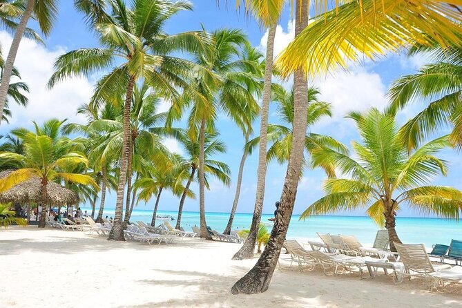 Saona Island VIP Experience – Private Boat for Up to 20 People - Morning Pickup: The 7:00 am Start and How to Prepare