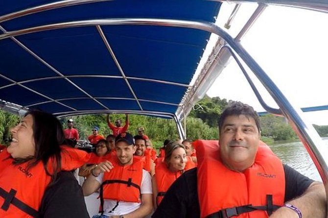 Saona Island VIP Full Day All Inclusive Excursion - Why Saona Island Works as a Full-Day Getaway