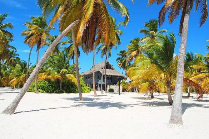 Saona Island VIP Full Day All Inclusive Excursion - Canto de la Playa: Private Beach Buffet and a Breather