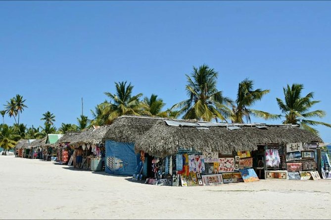 Saona Island VIP Full Day All Inclusive Excursion - Open Bar Views and the Snorkeling Finish