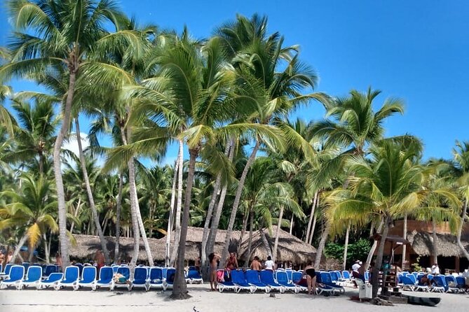 Saona Island: White Sands & Turquoise Waters” - Isla Saona Beach Time: Buffet Lunch, Open Bar, and White Sand