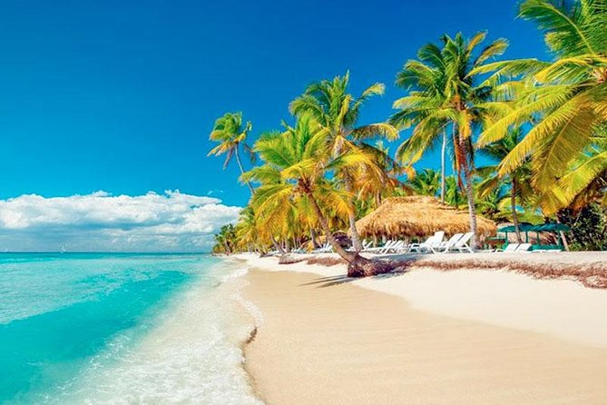 Saona Platinum Beach Day - Leaving Punta Cana: the 7:00 to 7:30 pickup rhythm