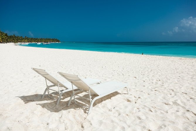 Saona Private Full-Day Tour from Punta Cana - Key highlights at a glance