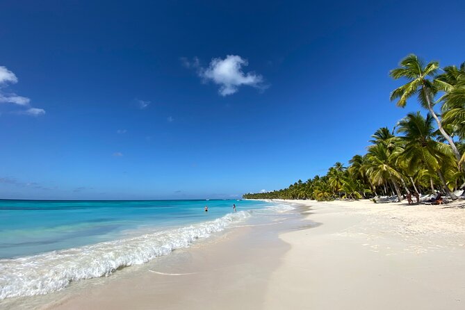 Saona Private Full-Day Tour from Punta Cana - Isla Saona + Blue Lagoon starfish swim (and champagne)