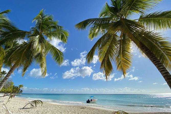 Saona Private Full-Day Tour from Punta Cana - Speedboat and schedule: what 10 hours feels like in real life