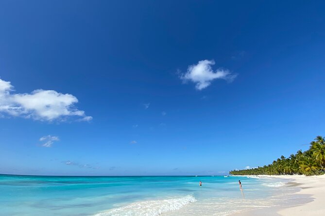 Saona Private Full-Day Tour from Punta Cana - Private tour value: when $660 per person makes sense