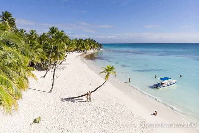 Saona Private Tour with Own Guide and Transport from Punta Cana - Key highlights worth planning around