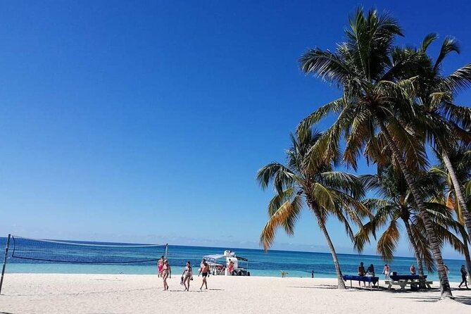 Saona Relax Tour - The Natural Pools: swimming time, floating bar toast, and water reality