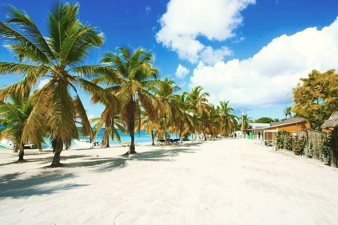 Saona Relax Tour - Lunch at the beach: paella, grilled mains, and shaded table service