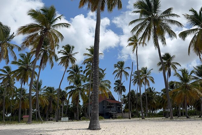 Saona VIP 3 Beaches, Natural Pool & Mano Juan Turtle Sanctuary - Mano Juan village stop and the turtle sanctuary visit
