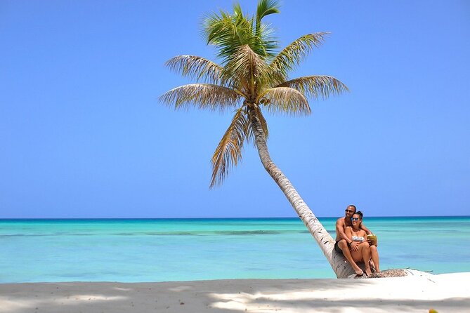 Saône Island from Punta Cana Catamaran, Natural Pool and Lunch - Isla Saona beach time: lunch on the sand and the reality of buffet food