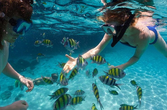 Scape Park Sunshine Cruise at Cap Cana - Where Cap Cana Fits In (And Why This Start Matters)