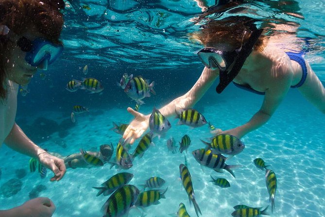 Scape Park Sunshine Cruise at Cap Cana - Hotel Pickup and Drop-Off: Fewer Headaches, More Time on the Water