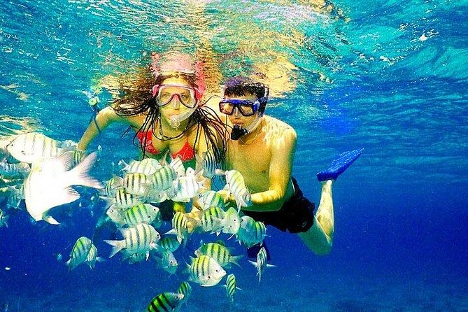 Scuba Diving at Catalina Island - 2 tank | 2 spots - Catalina Island from Punta Cana: what you’re really signing up for