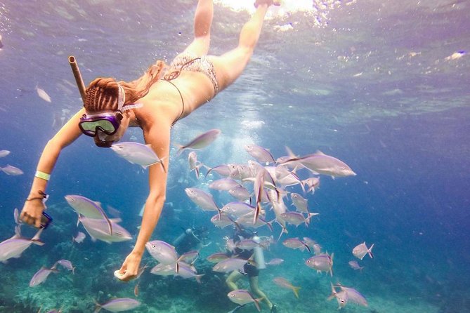 Scuba Diving at Catalina Island - 2 tank | 2 spots - Included gear and guides: what you get, what you don’t
