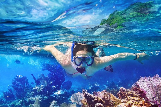 Scuba Diving at Catalina Island - 2 tank | 2 spots - Punta Cana logistics: price, transport reality, and real value at $152