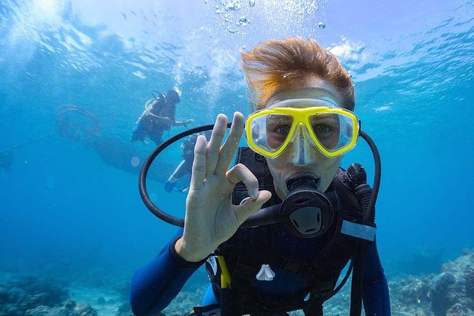 Scuba Diving at Catalina Island - 2 tank - for Certified Divers - Key Things You’ll Really Notice