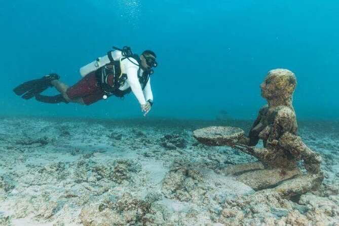 Scuba Diving at Catalina Island - 2 tank - for Certified Divers - Who this trip fits best