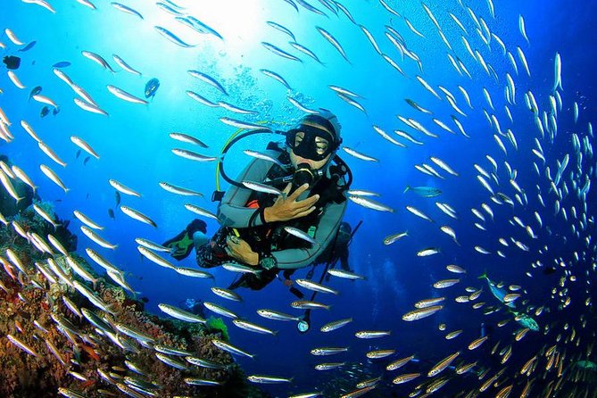 Scuba Diving on Catalina Island | 2 tanks, 2 spots - The beach break on Catalina Island: loungers, buffet, and open bar