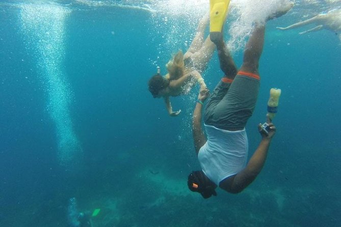 Scuba Diving on Catalina Island | 2 tanks, 2 spots - Pickup, timing, and small-group logistics that actually matter