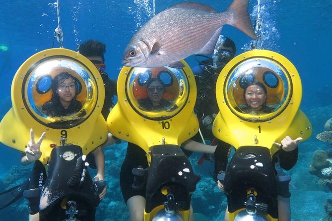 Scuba Doo Diving Experience in Punta Cana - Key Things to Know Before You Go