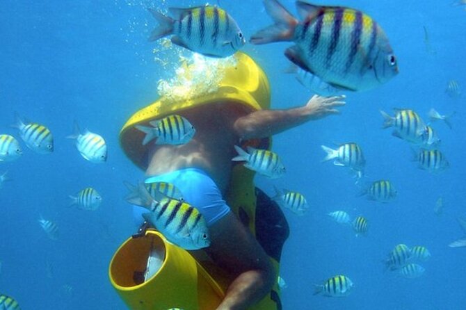 Scuba Doo - Diving Scooters in Punta Cana - Key highlights to know before you go