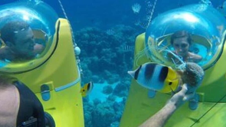 Scuba Doo - Diving Scooters in Punta Cana - Value for $55: where your money actually goes