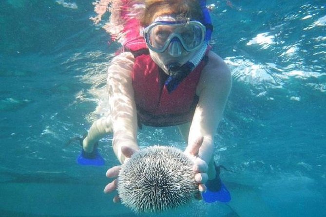 Scuba Doo Underwater Scooter in Punta Cana (Half Day) - Helmet-bubble breathing: the real trick of Scuba Doo