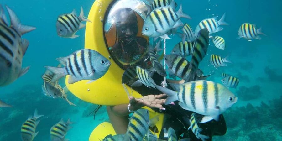 Scubadoo Punta Cana Diving Adventure - Getting To La Altagracia: Pickup, timing, and the real value of $59
