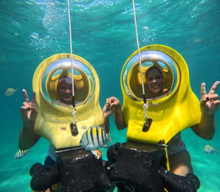 Scubadoo Punta Cana Diving Adventure - Marine Life on the Reef: What to look for (and how not to miss it)