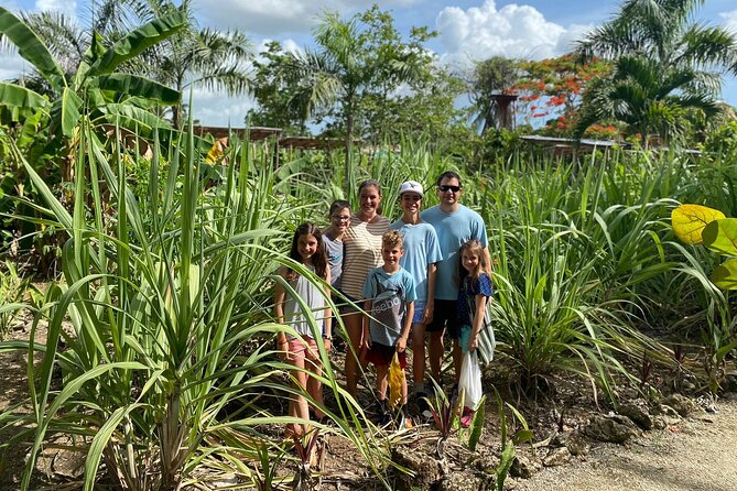 Shared Half-Day Tour in Punta Cana with Local Guide - Pickup, timing, and the group size that matters