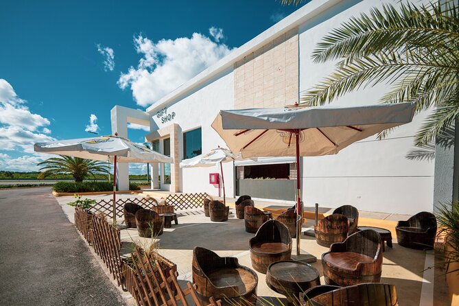 Shopping Tour in Punta Cana with Round Trip Transportation - Price and Value: What $5 Per Group Really Gets You
