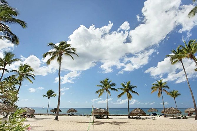 Shore Excursion: Viva Wyndham Resort For The Day With Unlimited Food & Drinks - Viva Wyndham Dominicus Beach by Wyndham: What You’re Really Buying