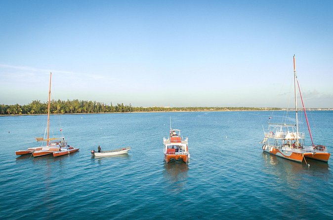 Small-Group Cruising and Snorkeling Catamaran Tour - Price and Value: Why $99 Can Be Worth It Here